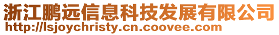 浙江鵬遠(yuǎn)信息科技發(fā)展有限公司