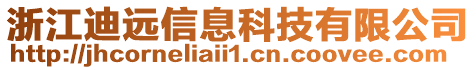 浙江迪遠信息科技有限公司