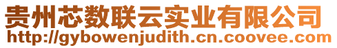 貴州芯數(shù)聯(lián)云實業(yè)有限公司