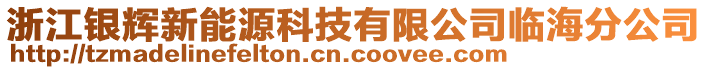 浙江銀輝新能源科技有限公司臨海分公司