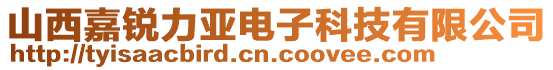 山西嘉銳力亞電子科技有限公司