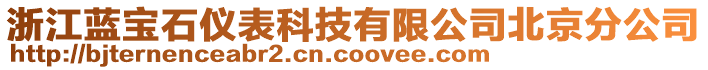 浙江藍寶石儀表科技有限公司北京分公司