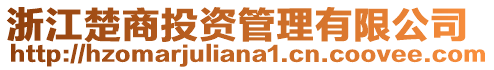 浙江楚商投資管理有限公司