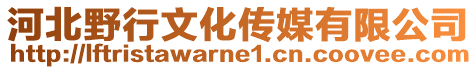 河北野行文化傳媒有限公司