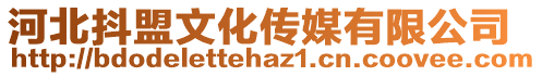 河北抖盟文化傳媒有限公司