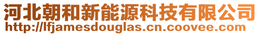 河北朝和新能源科技有限公司