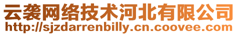 云襲網絡技術河北有限公司