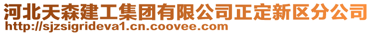 河北天森建工集團有限公司正定新區(qū)分公司