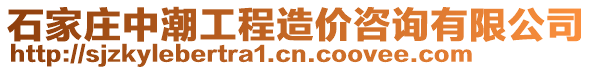 石家莊中潮工程造價咨詢有限公司