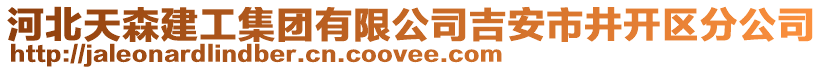 河北天森建工集團(tuán)有限公司吉安市井開區(qū)分公司