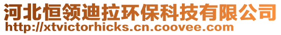 河北恒領(lǐng)迪拉環(huán)保科技有限公司