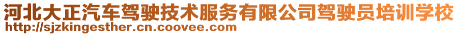 河北大正汽車駕駛技術(shù)服務(wù)有限公司駕駛員培訓(xùn)學(xué)校