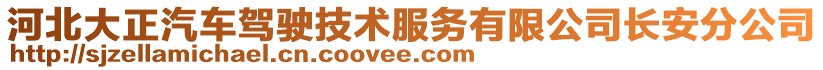 河北大正汽車駕駛技術(shù)服務(wù)有限公司長安分公司