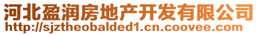 河北盈潤房地產(chǎn)開發(fā)有限公司
