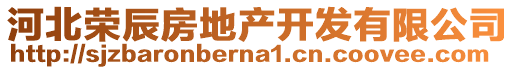 河北榮辰房地產(chǎn)開(kāi)發(fā)有限公司