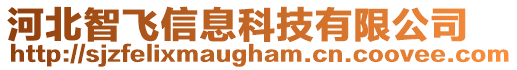 河北智飛信息科技有限公司