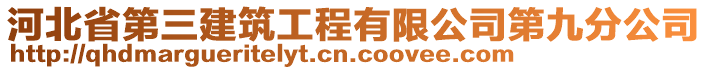 河北省第三建筑工程有限公司第九分公司