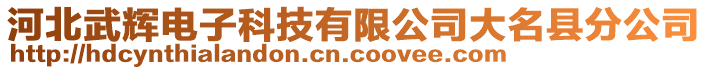 河北武輝電子科技有限公司大名縣分公司