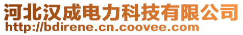 河北漢成電力科技有限公司