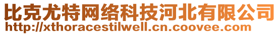比克尤特網(wǎng)絡(luò)科技河北有限公司
