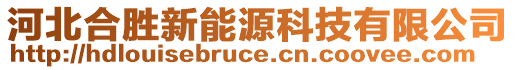 河北合勝新能源科技有限公司