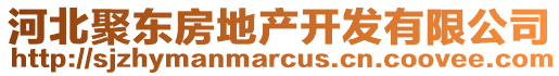 河北聚東房地產(chǎn)開發(fā)有限公司