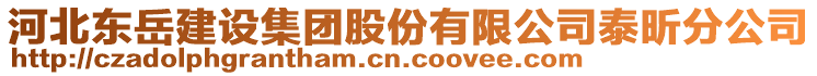 河北東岳建設(shè)集團股份有限公司泰昕分公司