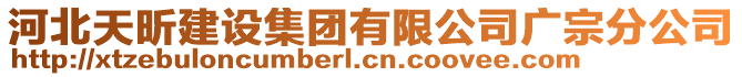 河北天昕建設集團有限公司廣宗分公司