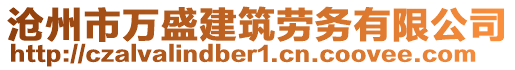 滄州市萬盛建筑勞務(wù)有限公司