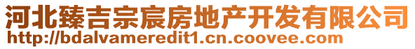 河北臻吉宗宸房地產(chǎn)開發(fā)有限公司