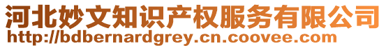 河北妙文知識產權服務有限公司