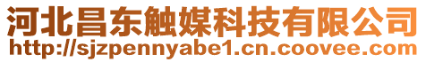 河北昌東觸媒科技有限公司