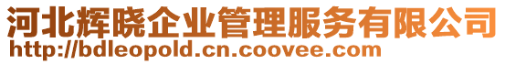 河北輝曉企業(yè)管理服務有限公司