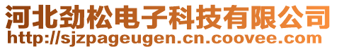 河北勁松電子科技有限公司