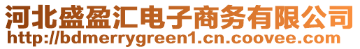 河北盛盈匯電子商務(wù)有限公司