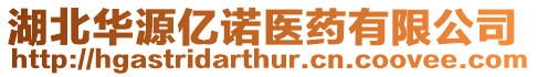 湖北華源億諾醫藥有限公司