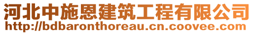 河北中施恩建筑工程有限公司