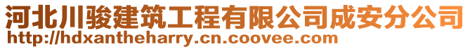 河北川駿建筑工程有限公司成安分公司