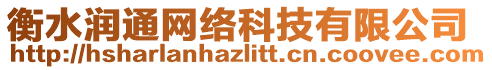 衡水潤(rùn)通網(wǎng)絡(luò)科技有限公司