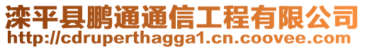 灤平縣鵬通通信工程有限公司