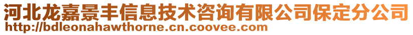 河北龍嘉景豐信息技術咨詢有限公司保定分公司