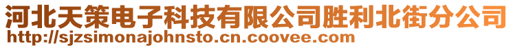 河北天策電子科技有限公司勝利北街分公司