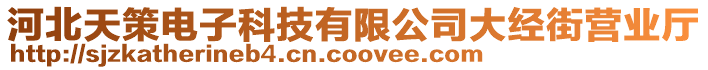 河北天策電子科技有限公司大經(jīng)街營(yíng)業(yè)廳