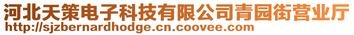 河北天策電子科技有限公司青園街營業(yè)廳