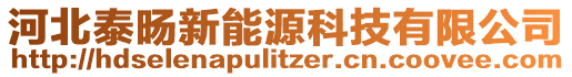 河北泰旸新能源科技有限公司