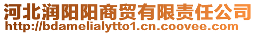 河北潤(rùn)陽(yáng)陽(yáng)商貿(mào)有限責(zé)任公司