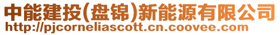 中能建投(盤錦)新能源有限公司