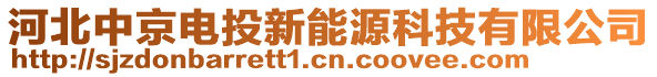 河北中京電投新能源科技有限公司