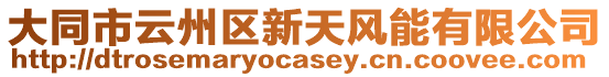 大同市云州區(qū)新天風(fēng)能有限公司