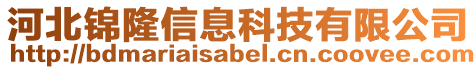 河北錦隆信息科技有限公司